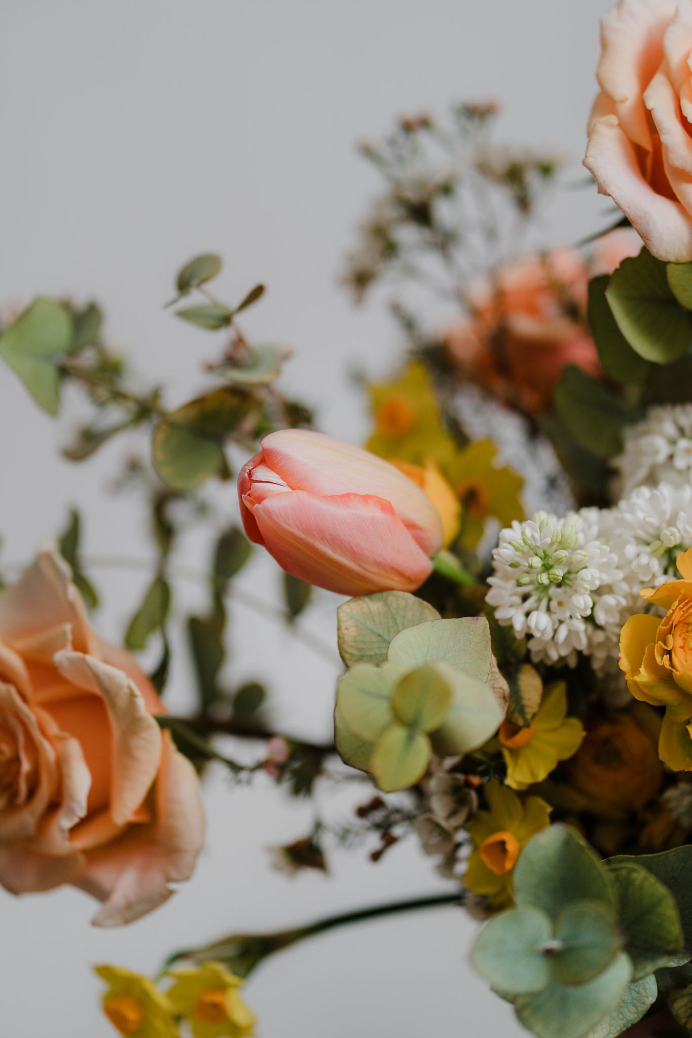 Spring flowers including tulips, lilac, ranunculus, narcissus and seasonal foliage from Broughton Street flower shop with a wide selection of stunning seasonal fresh flower bouquets