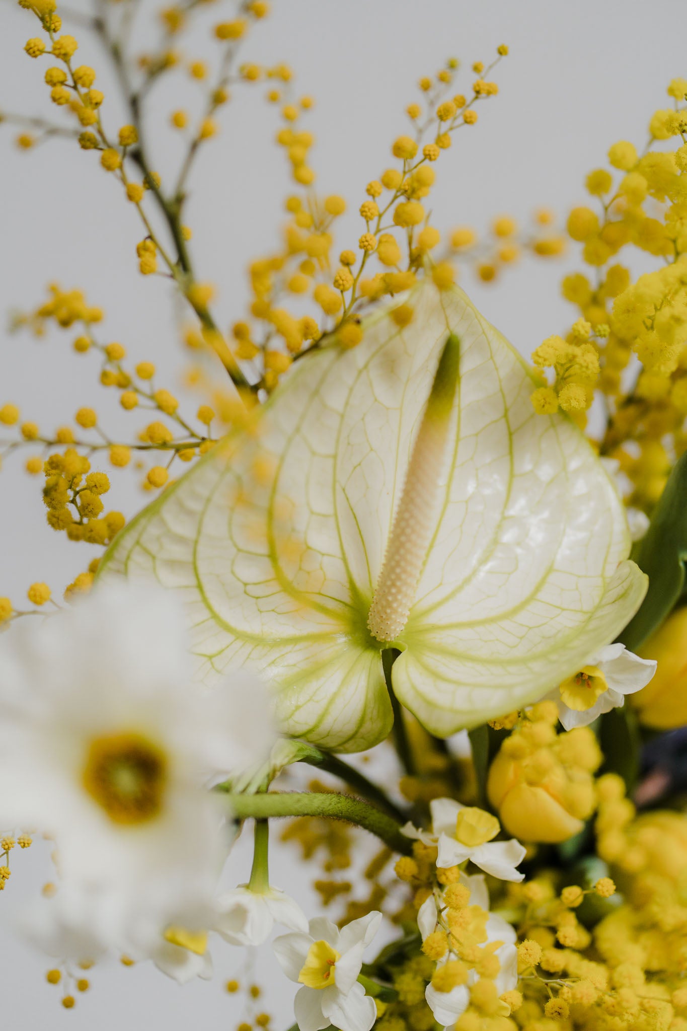 International Women's Day & Mother's Day Bouquet