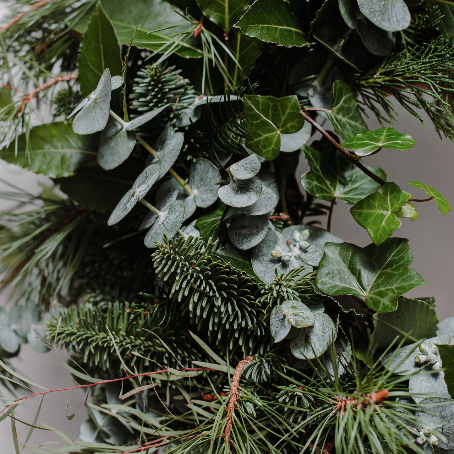 Festive Mixed Foliage Wreath