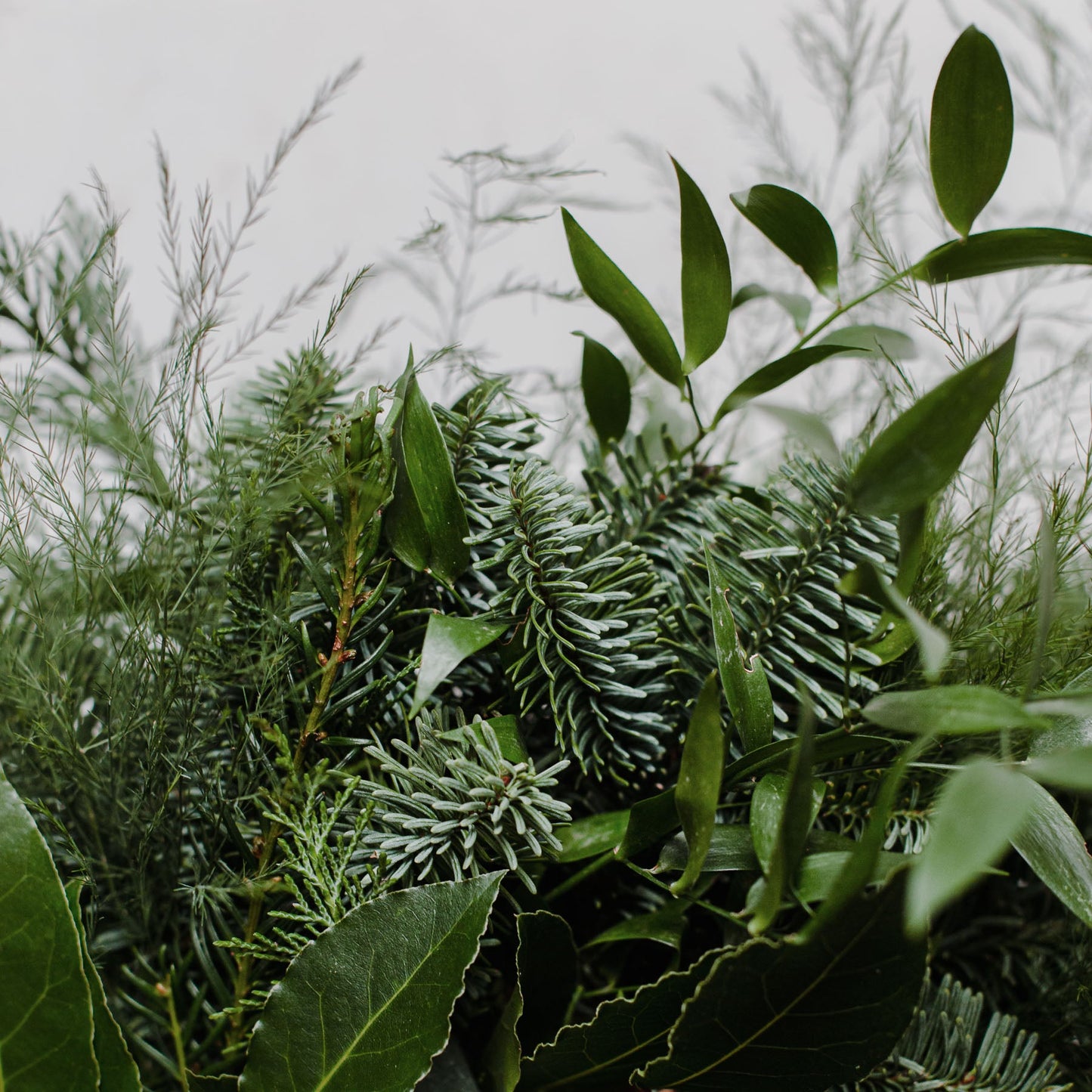 Festive Wreath Making Workshop