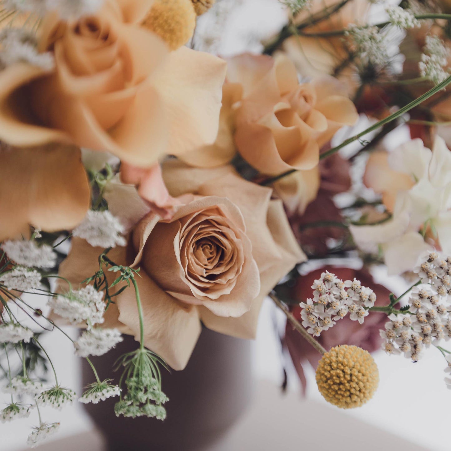 Modern luxury flowers in a stunning vase arrangement featuring Roses, Ammi and Sweet-peas from Edinburgh florist Aspen Florals