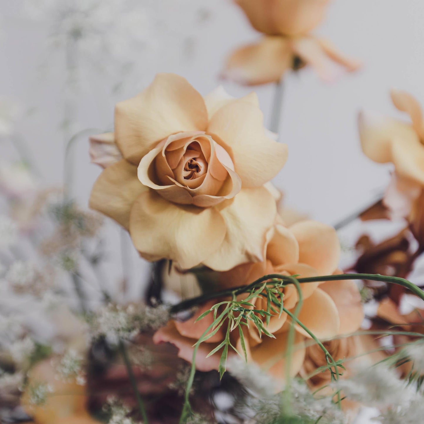Muted pastel colours for a modern luxury flowers in a stunning vase and bouquet arrangement featuring Roses and Ammi and Sweet-peas from Edinburgh florist Aspen Florals