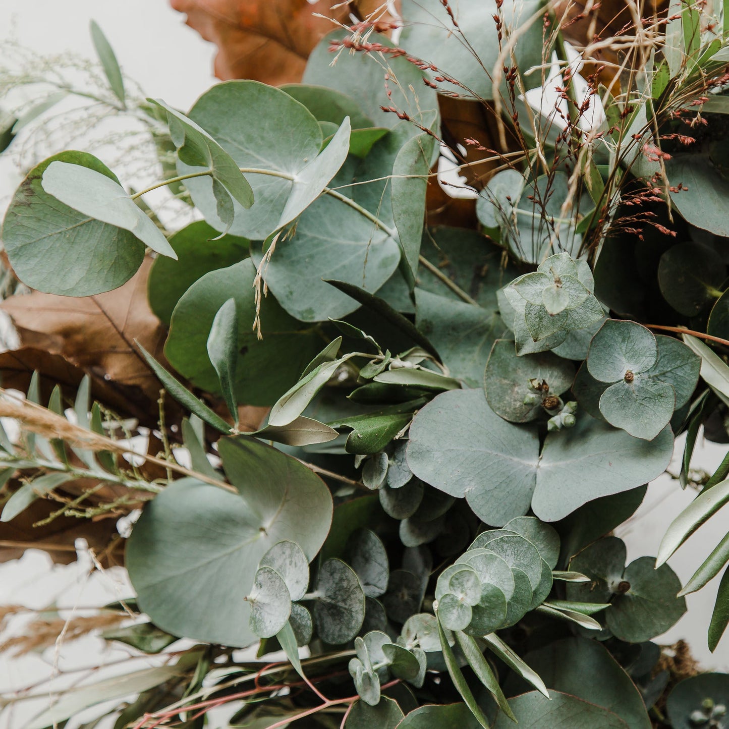Festive Mixed Foliage Wreath