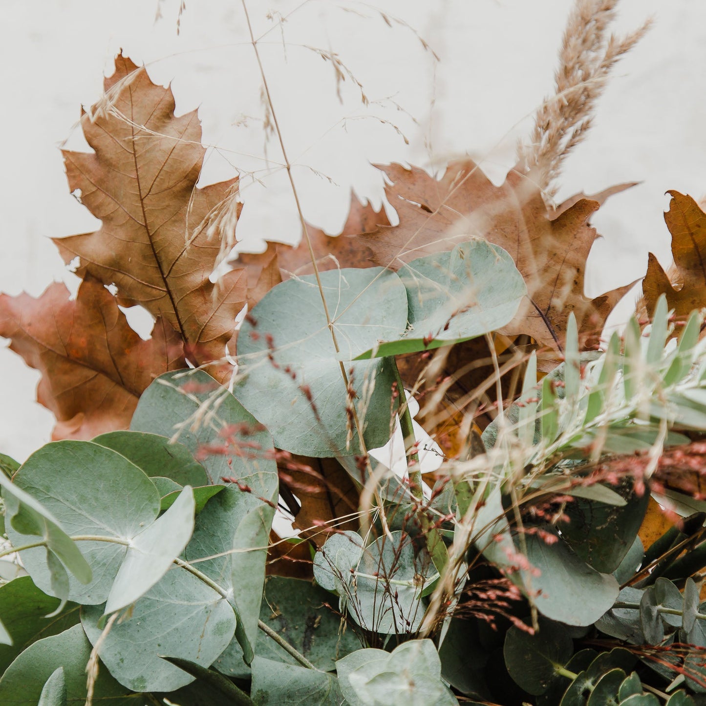 Festive Mixed Foliage Wreath
