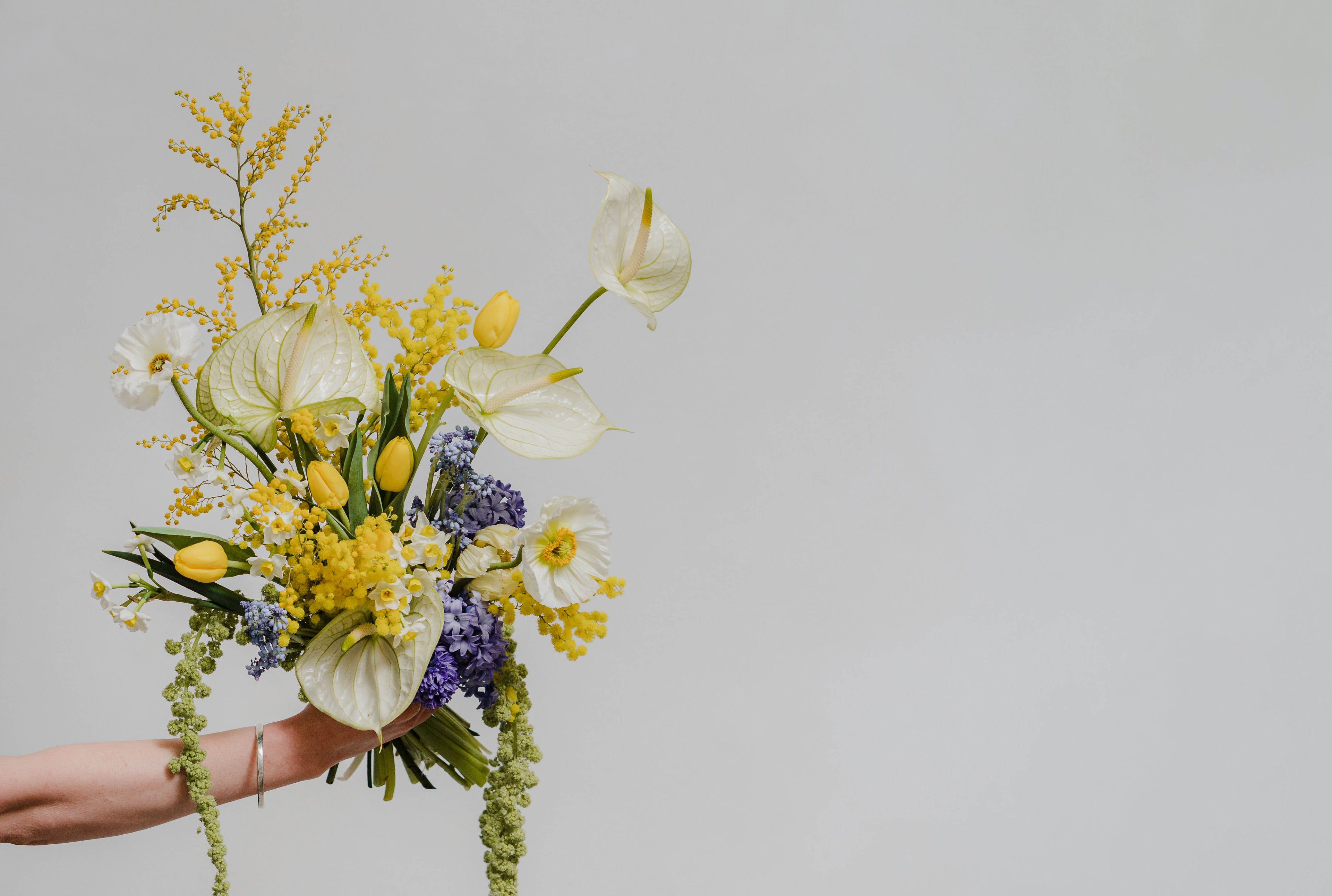 A true celebration of spring in vibrant yellow, ochre and Delph blue using French seasonal mimosa with scented spring bulb flowers and architectural terms offset the delicate petals of paper like papaver. A beautiful spring bouquet bursting with seasonal favourites and sweet scented spring blooms.