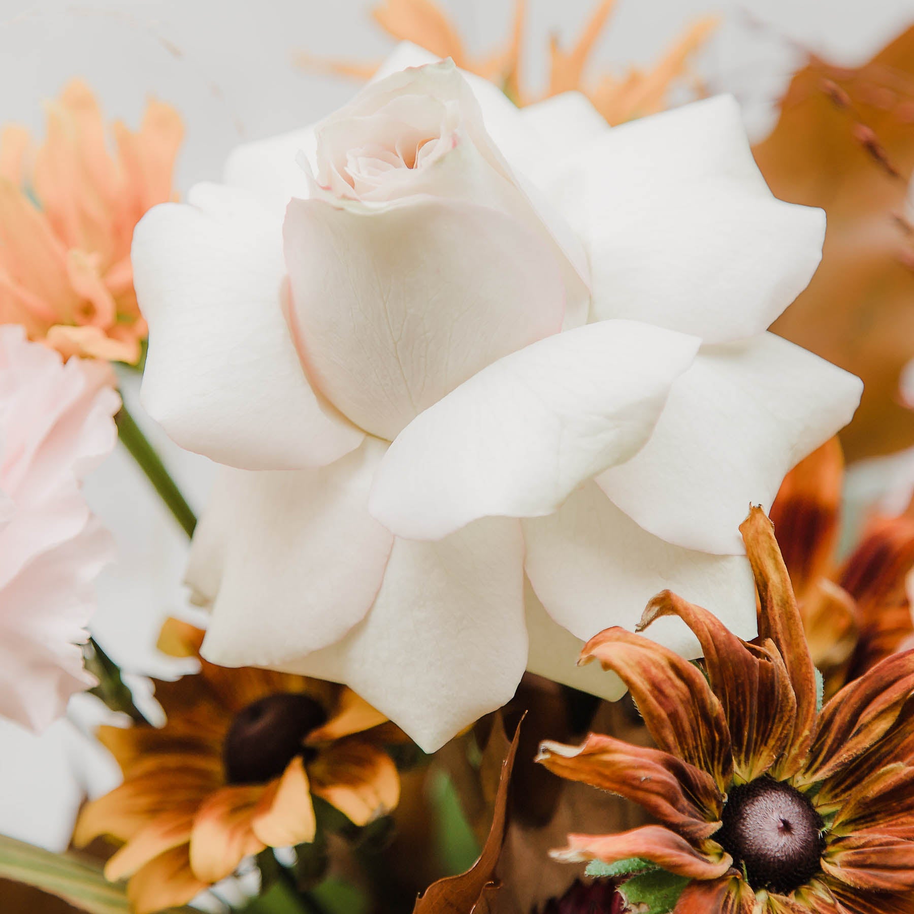 showing floristry detail of this beautiful seasonal bouquet with a soft autumn palette, lots of delicate petals and large roses from Edinburgh Florist Aspen Florals 